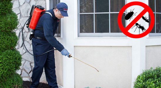 Karaçoban Hamam Böceği İlaçlama böcek ilaçlama ve haşere kontrolü — ilaclama-tr.com